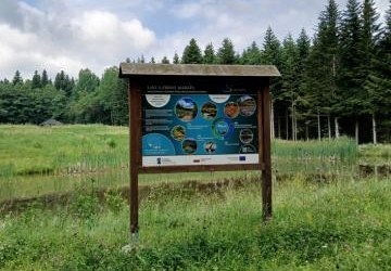 Ognisko szkolne na Pokusówce w Słopnicach