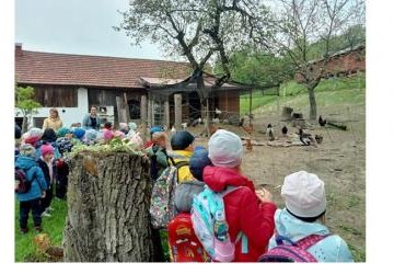 Wycieczka przedszkolaków do zagrody edukacyjnej   „W zielonym gaju”