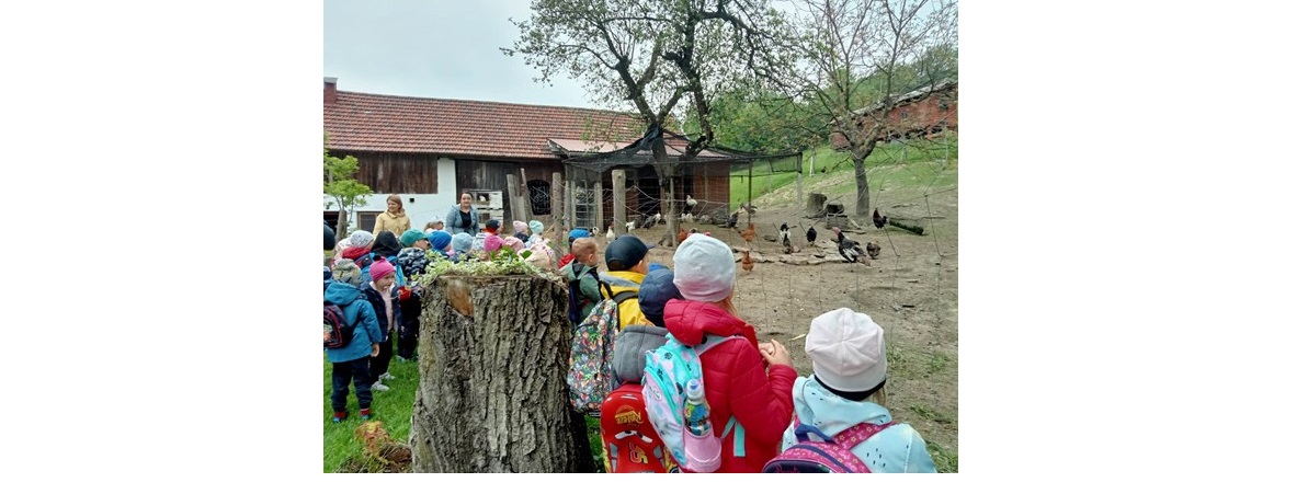 Wycieczka przedszkolaków do zagrody edukacyjnej   „W zielonym gaju”