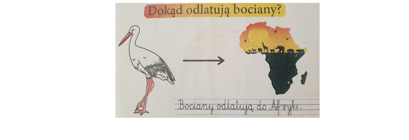 Konkurs na najładniejszy zeszyt w klasie 1B